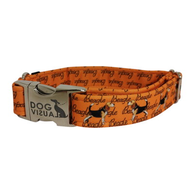 Obojok ORANGE BEAGLE