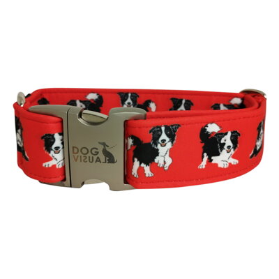 Obojok CRAZY BORDERKA