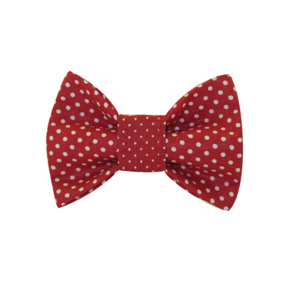 Fliege RED IN DOTS