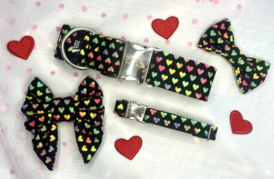 Halsband HEART RAINBOW