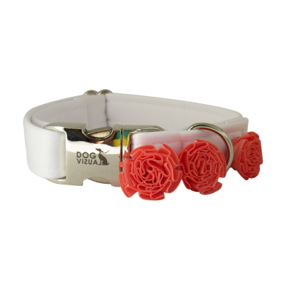 Hochzeit Halsband Orange