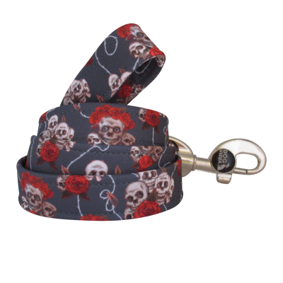 Leine GREY SKULLS
